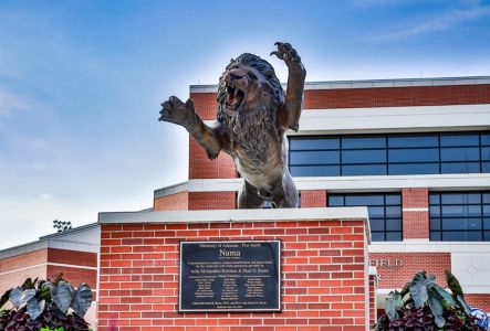 ASPSF Supporter Spotlight: University of Arkansas